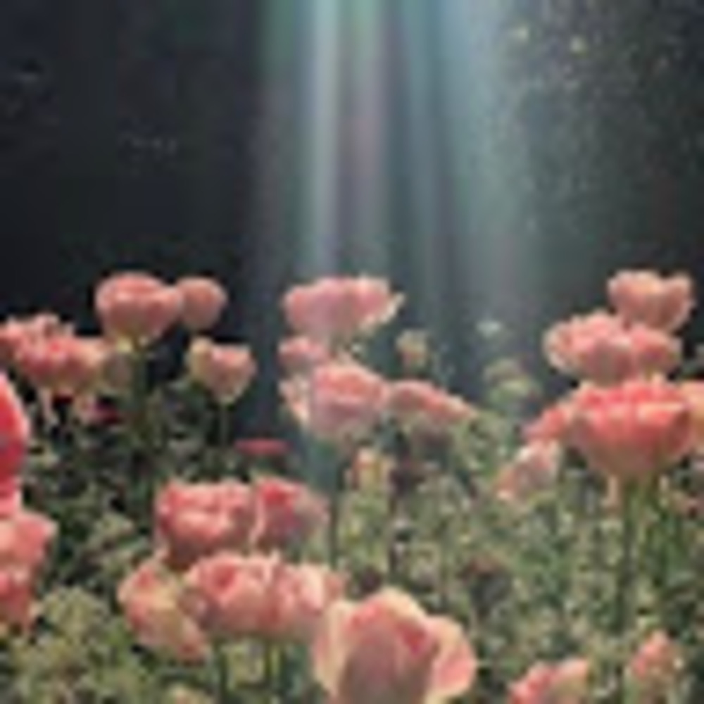 Meet your Posher, Keimoni